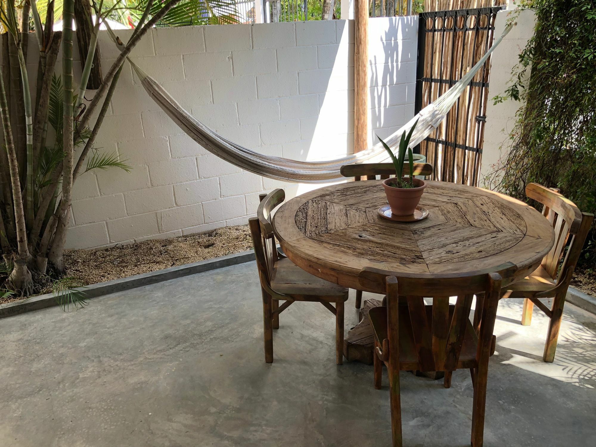 Casa La Palma B&B Playa del Carmen Extérieur photo